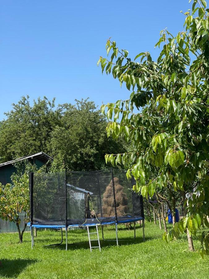 Pensiunea Colt De Rai Corbi Exteriér fotografie