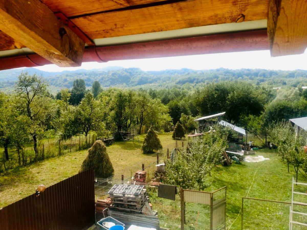 Pensiunea Colt De Rai Corbi Exteriér fotografie